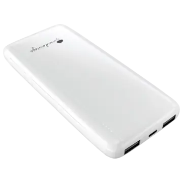 Powerbank PAULI